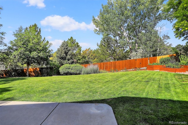9356 W Geddes Pl, Littleton, CO 80128 - fenced backyard with a patio