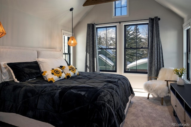 208 N Ridge St, Breckenridge, CO 80424 - photo 6