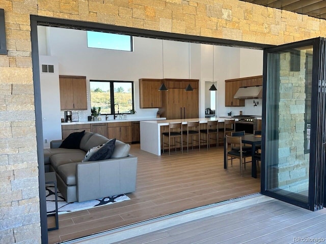 living room with sink, a high ceiling, and light wood-type flooring