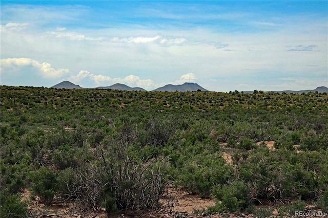 LOT6 Evergreen Rd, Blanca, CO 81152 - photo 2