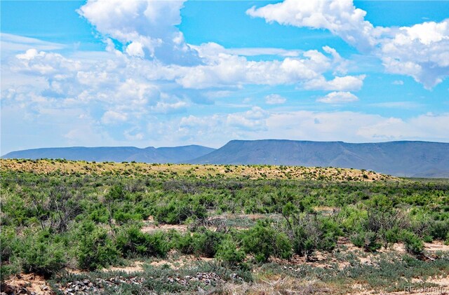 LOT6 Evergreen Rd, Blanca, CO 81152 - photo 4