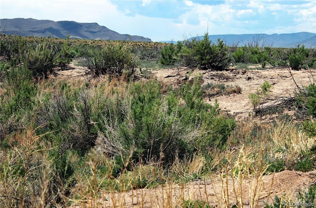 LOT6 Evergreen Rd, Blanca, CO 81152 - photo 19