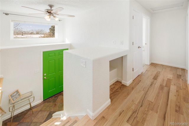 entryway with ceiling fan and light hardwood / wood-style floors