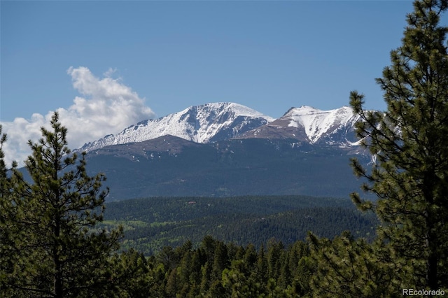 310 Blossom Rd, Woodland Park, CO 80863 - photo 6