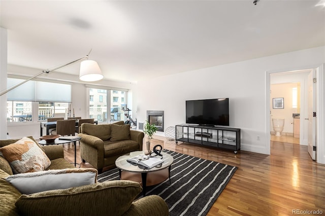 living room featuring wood-type flooring