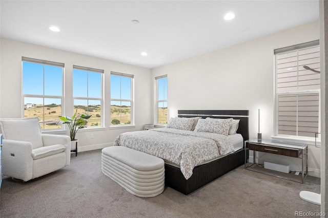 bedroom featuring carpet