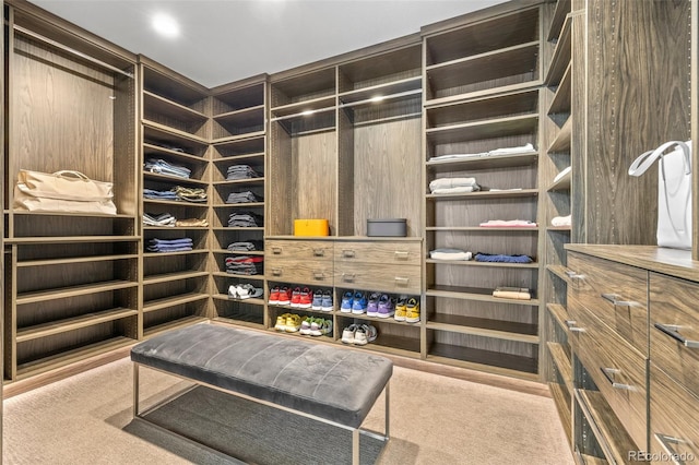 spacious closet featuring light carpet