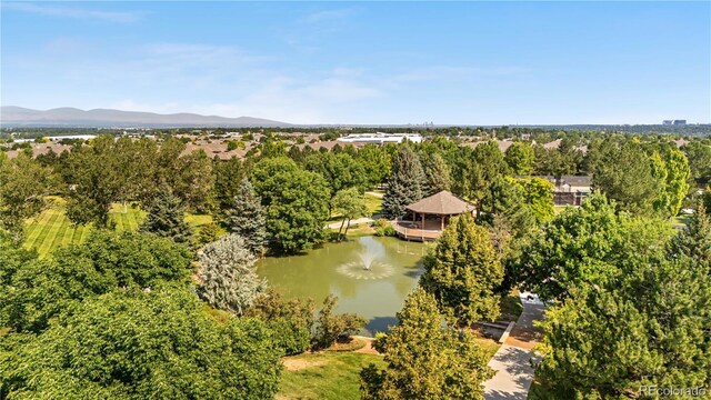 6484 Silver Mesa Dr Unit A, Highlands Ranch, CO 80130 - photo 41