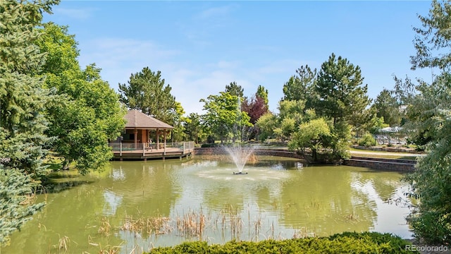 6484 Silver Mesa Dr Unit A, Highlands Ranch, CO 80130 - photo 42