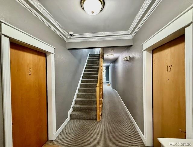 1650 N Pearl St Unit 10, Denver, CO 80203 - photo 3