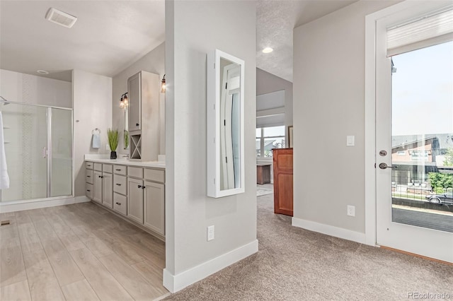5834 Beeler Ct, Denver, CO 80238 - bathroom featuring plenty of natural light, a shower stall, vanity, and wood finished floors