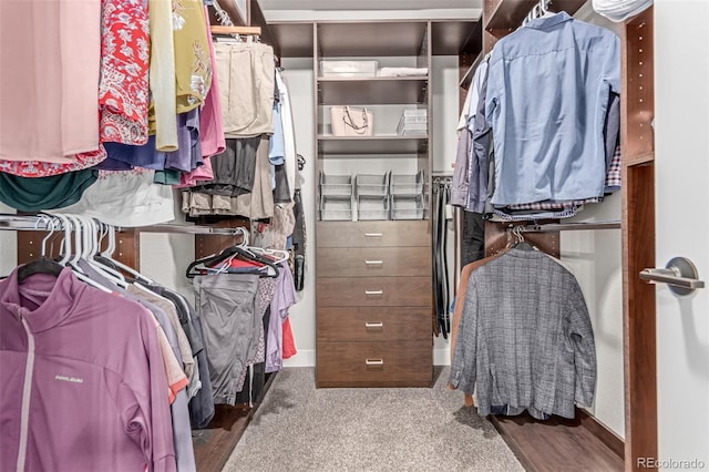 5834 Beeler Ct, Denver, CO 80238 - view of walk in closet