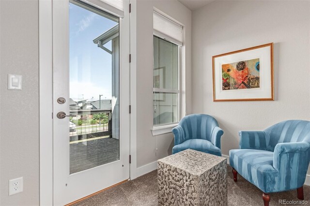 5834 Beeler Ct, Denver, CO 80238 - photo 22