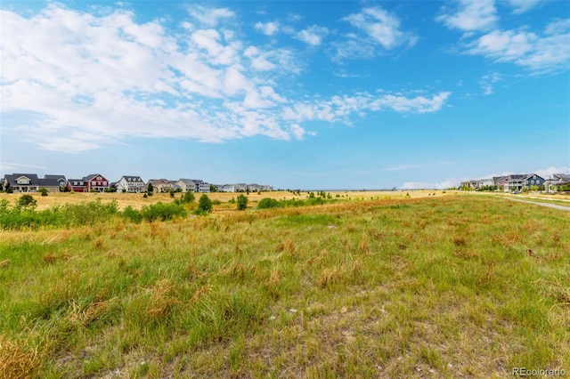 5834 Beeler Ct, Denver, CO 80238 - photo 42
