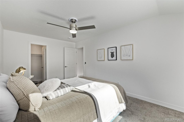 carpeted bedroom featuring a ceiling fan, a walk in closet, a closet, and baseboards