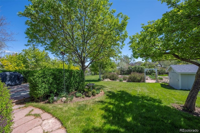 1322 Wicklow St, Boulder, CO 80303 - view of grassy yard with a storage shed and an outbuilding