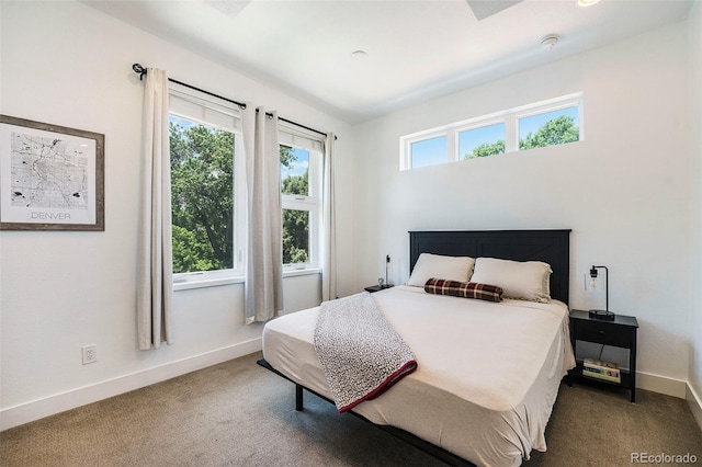 2726 Federal Blvd Unit 1, Denver, CO 80211 - bedroom featuring baseboards and carpet flooring