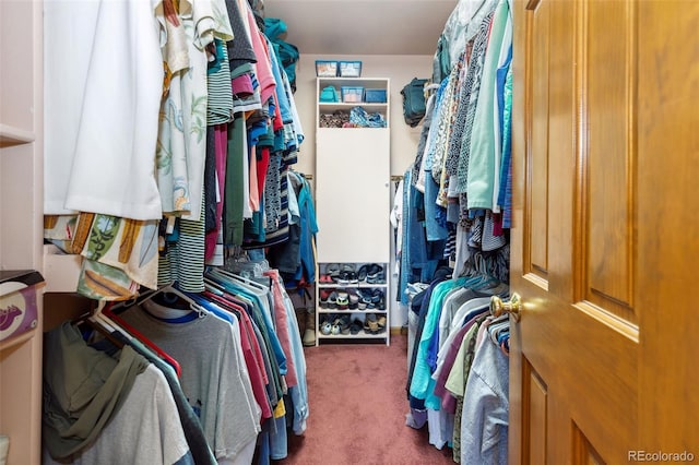walk in closet featuring carpet floors