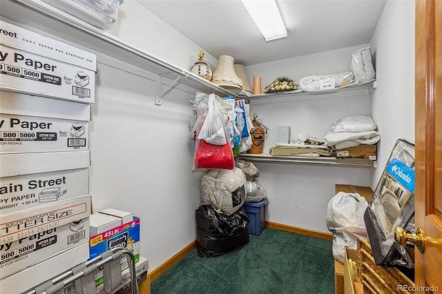 walk in closet with carpet floors