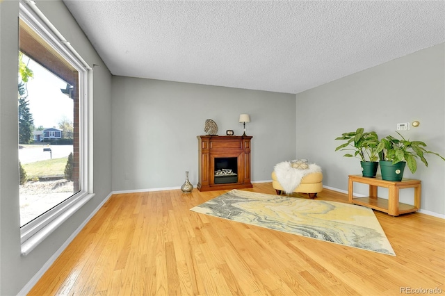 living area with hardwood / wood-style floors, a textured ceiling, and plenty of natural light