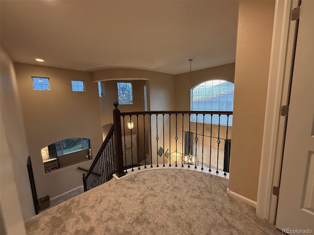 2421 Ivy Way, Erie, CO 80516 - photo 16
