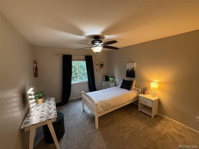 2421 Ivy Way, Erie, CO 80516 - photo 28
