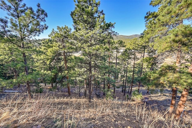 27292 Ridge Trl, Conifer, CO 80433