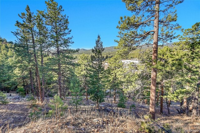 27292 Ridge Trl, Conifer, CO 80433