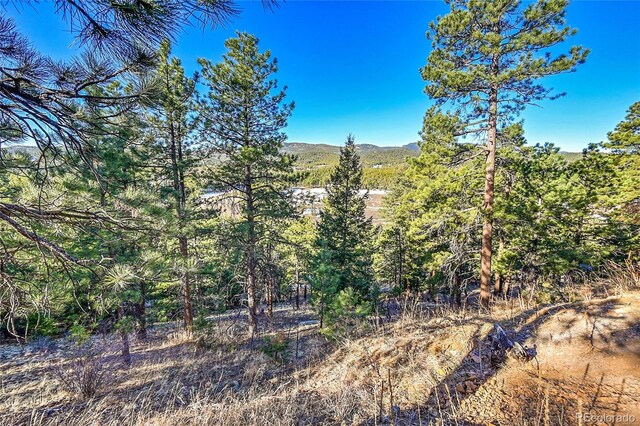 27292 Ridge Trl, Conifer, CO 80433