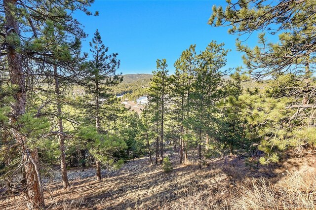 27292 Ridge Trl, Conifer, CO 80433