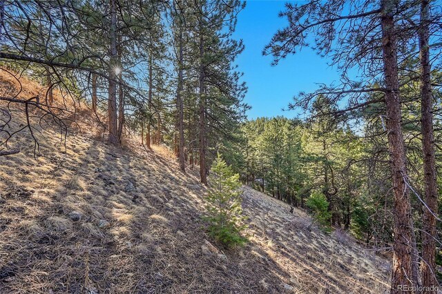 27292 Ridge Trl, Conifer, CO 80433