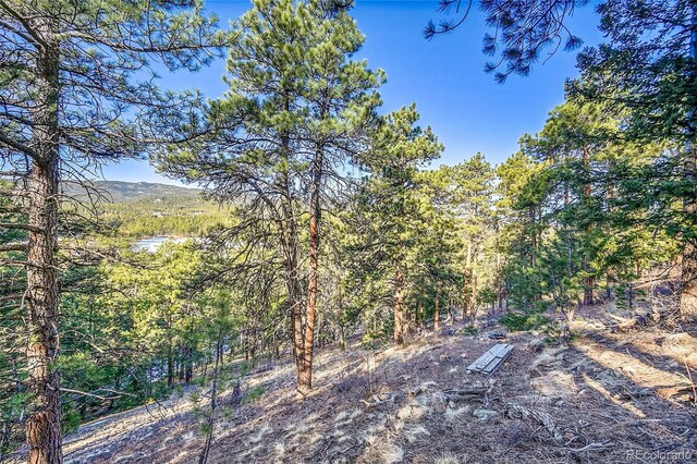 27292 Ridge Trl, Conifer, CO 80433