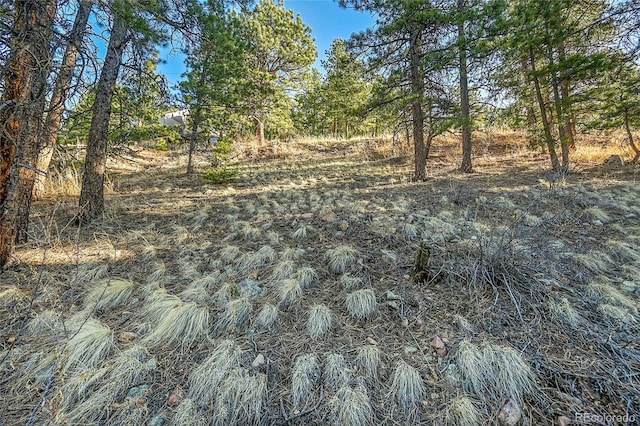 27292 Ridge Trl, Conifer, CO 80433