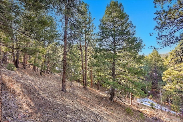 27292 Ridge Trl, Conifer, CO 80433