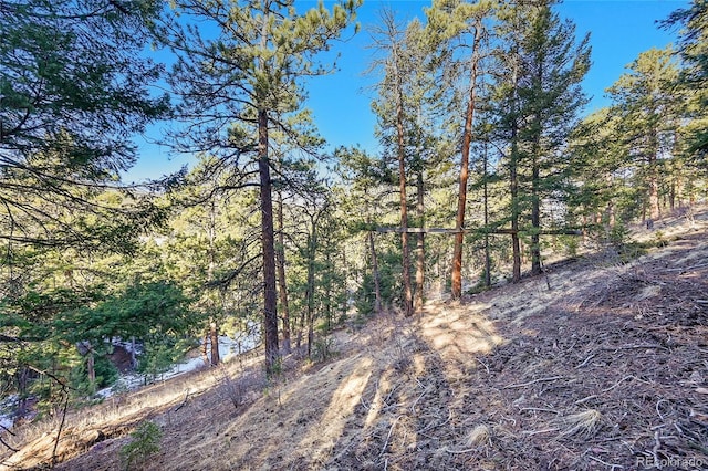 27292 Ridge Trl, Conifer, CO 80433