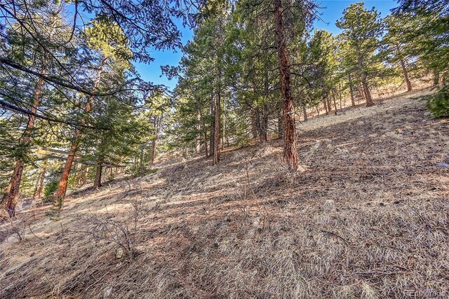 27292 Ridge Trl, Conifer, CO 80433