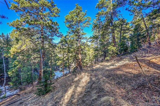 27292 Ridge Trl, Conifer, CO 80433