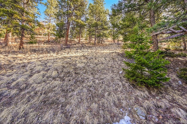 27292 Ridge Trl, Conifer, CO 80433