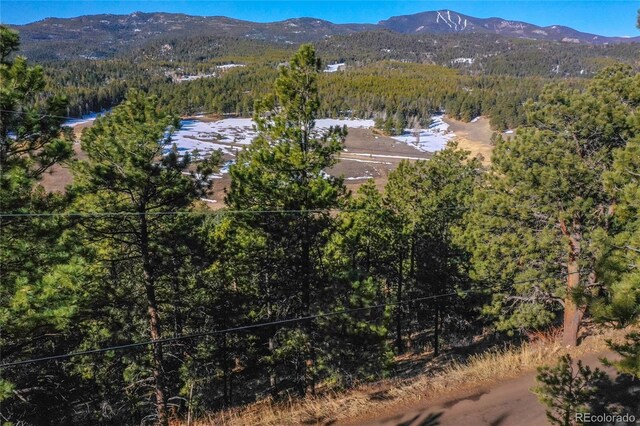 27292 Ridge Trl, Conifer, CO 80433
