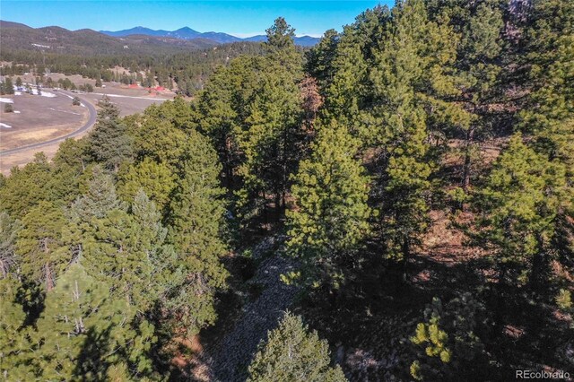 27292 Ridge Trl, Conifer, CO 80433