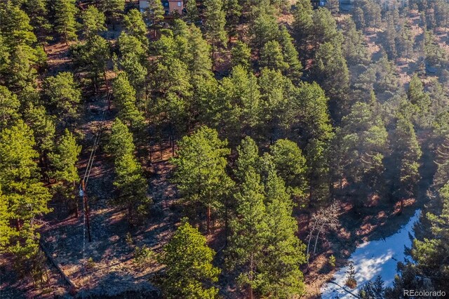 27292 Ridge Trl, Conifer, CO 80433