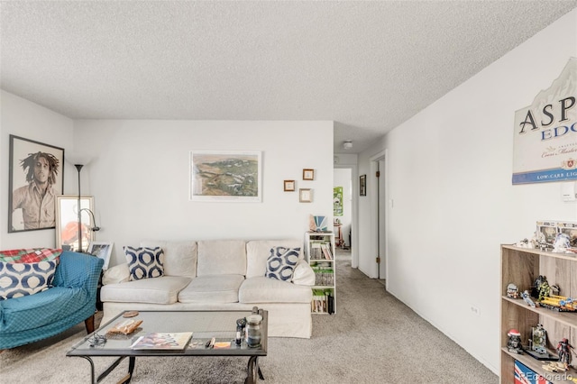 7100 Stuart St, Westminster, CO 80030 - carpeted living area with a textured ceiling