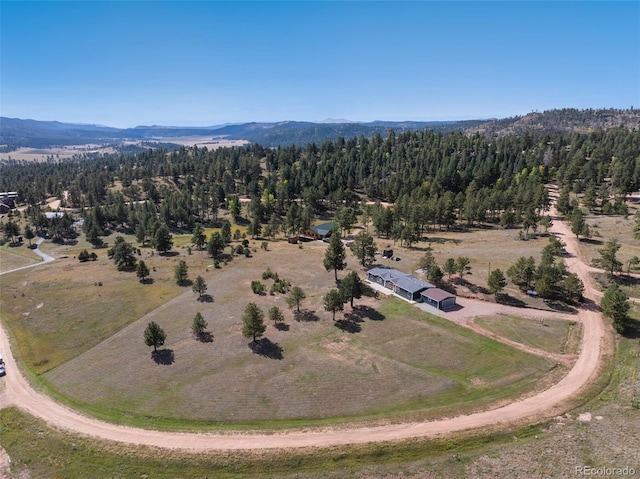 bird's eye view with a mountain view