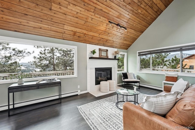 living room featuring baseboard heating, track lighting, wood ceiling, and dark hardwood / wood-style flooring