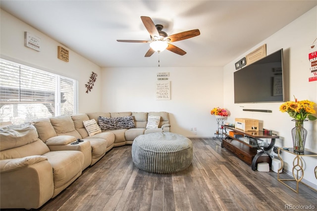 living room featuring dark wood-type flooring and ceiling fan