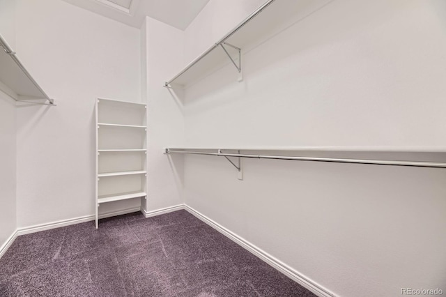 spacious closet with dark colored carpet