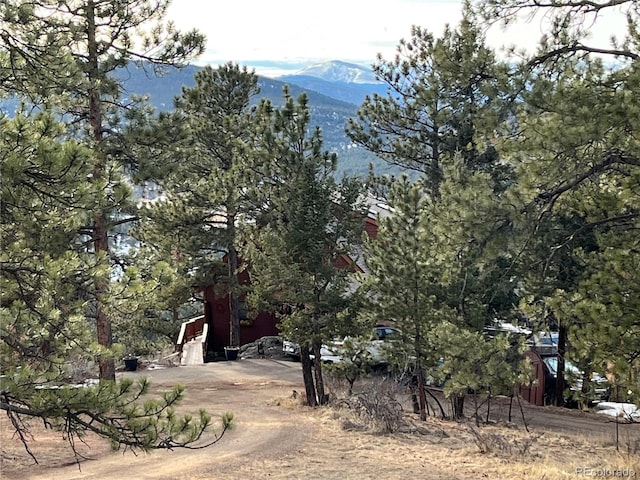 4924 S Indian Trl, Evergreen, CO 80439 - photo 2