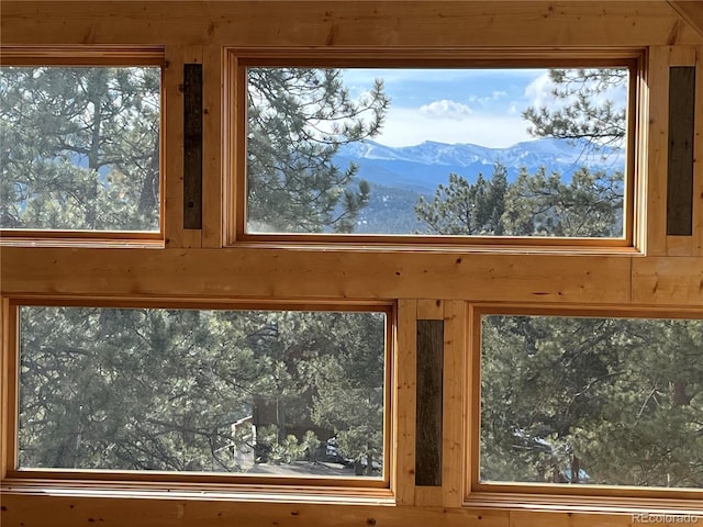 4924 S Indian Trl, Evergreen, CO 80439 - photo 5