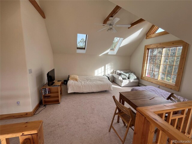 4924 S Indian Trl, Evergreen, CO 80439 - photo 7