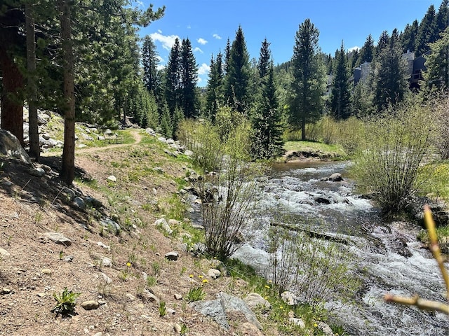 815 Columbine Rd Unit 22, Breckenridge, CO 80424 - view of nature